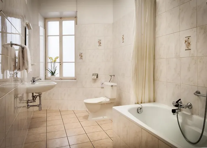 伊思鲁姆斯德尔安杰罗酒店 * 洛迦诺