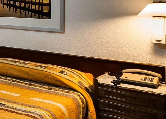 旅馆 伊思鲁姆斯德尔安杰罗酒店 *