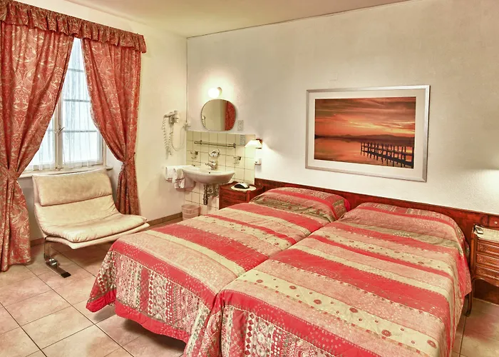 伊思鲁姆斯德尔安杰罗酒店 * 洛迦诺